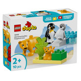 لگو سری دوپلو مدل Penguins and Lions کد 10442